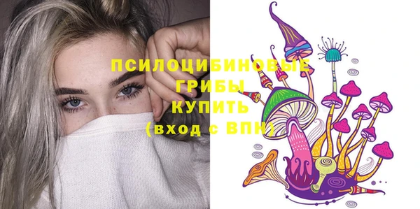 дмт Вязьма