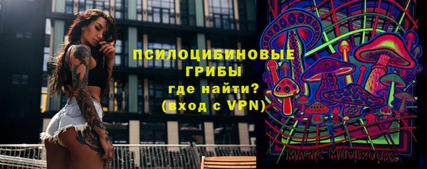 apvp Вязники